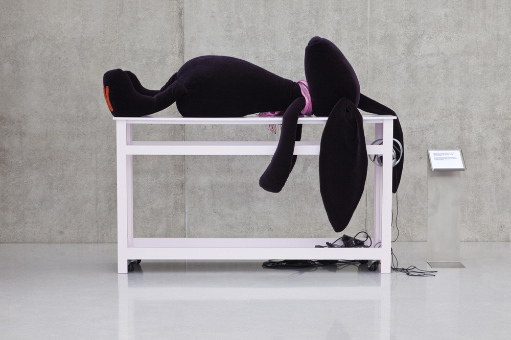 The Problematized Fun of Cosima von Bonin