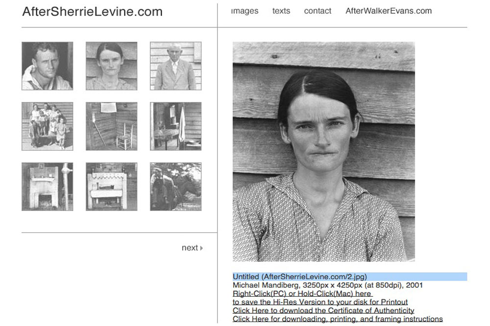 Querying the New Appropriation Art: Is This Cynicism?