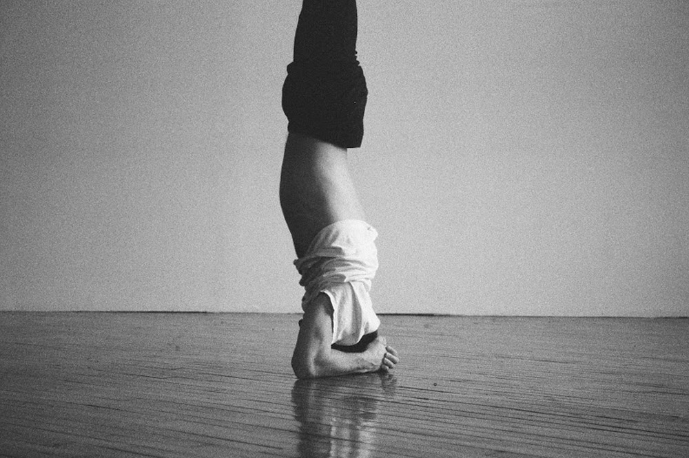 Parsing Re-Performance and Institutional Critique in the Choreography of Sasha Kleinplatz