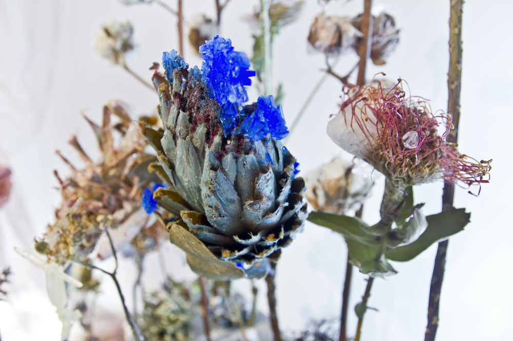 The Alchemist: A Studio Visit with Sadie Weis