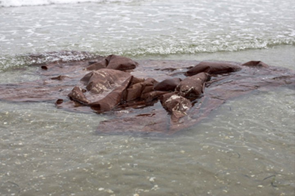 Contemporary Art Writing in Mexico: The Intractable and Necessary Issue of Corruption