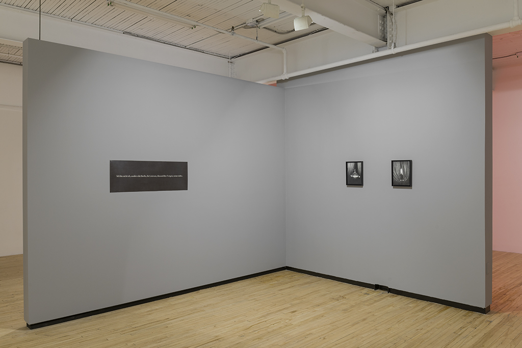 Carl Trahan, Exhibition View, 2015, Battat Contemporary.