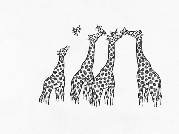 Kim Beom. 'Origin of Leopard,' from '10 animated drawings' (still), 2007.