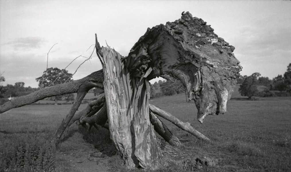 Paul Nash, "Monster Field," 1938.
