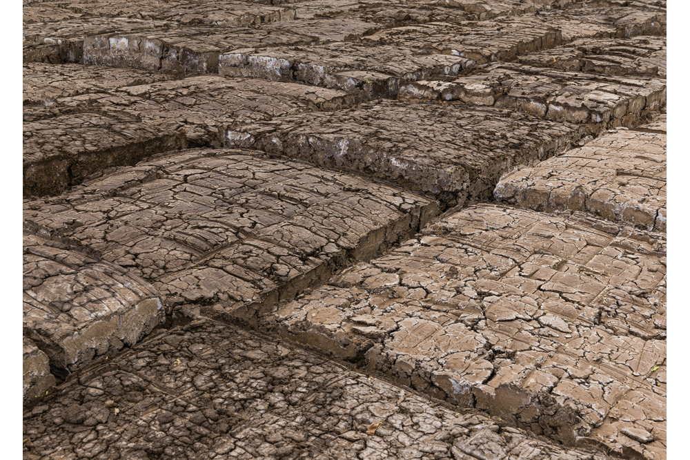 Manifesta 11: What Artists and Curators Do for Money