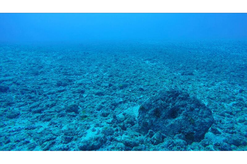 The 11th Gwangju Biennale’s Overreach: “What Does Art Do?”