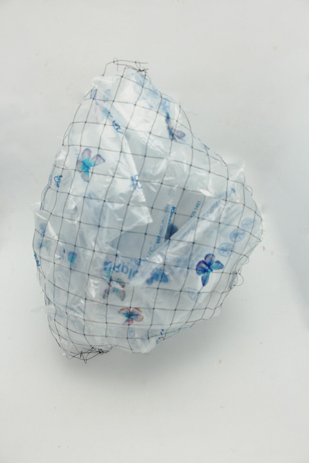 Escott_alicia_xerces_net