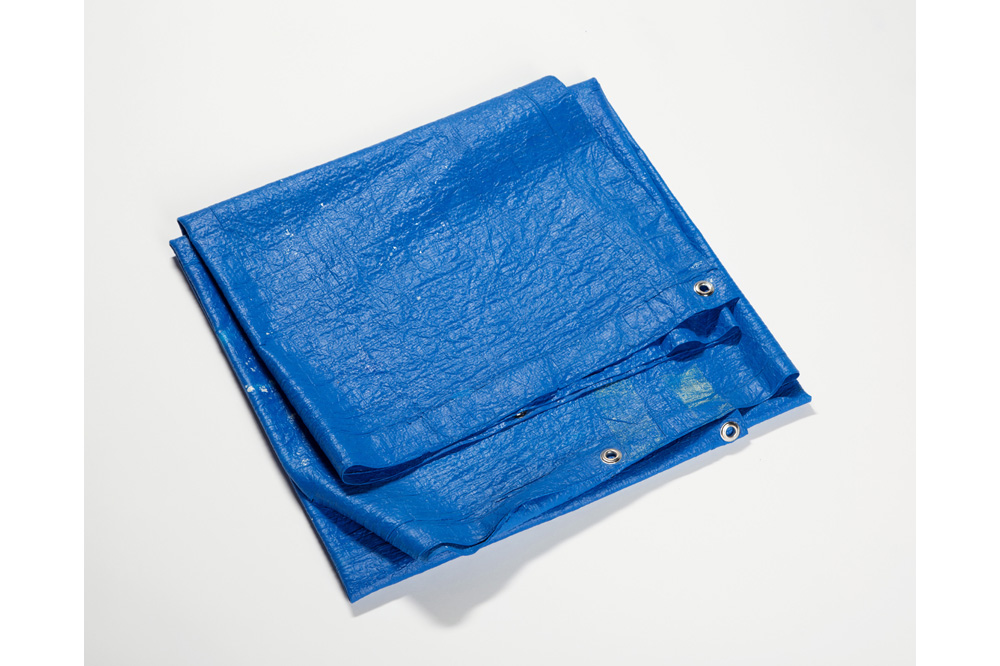 The Five Disappearances of Tammi Campbell