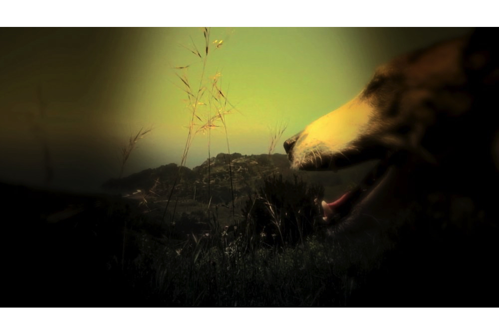 Palpable Urgency and Understated Ecology: Latvia’s “Survival Kit 9”