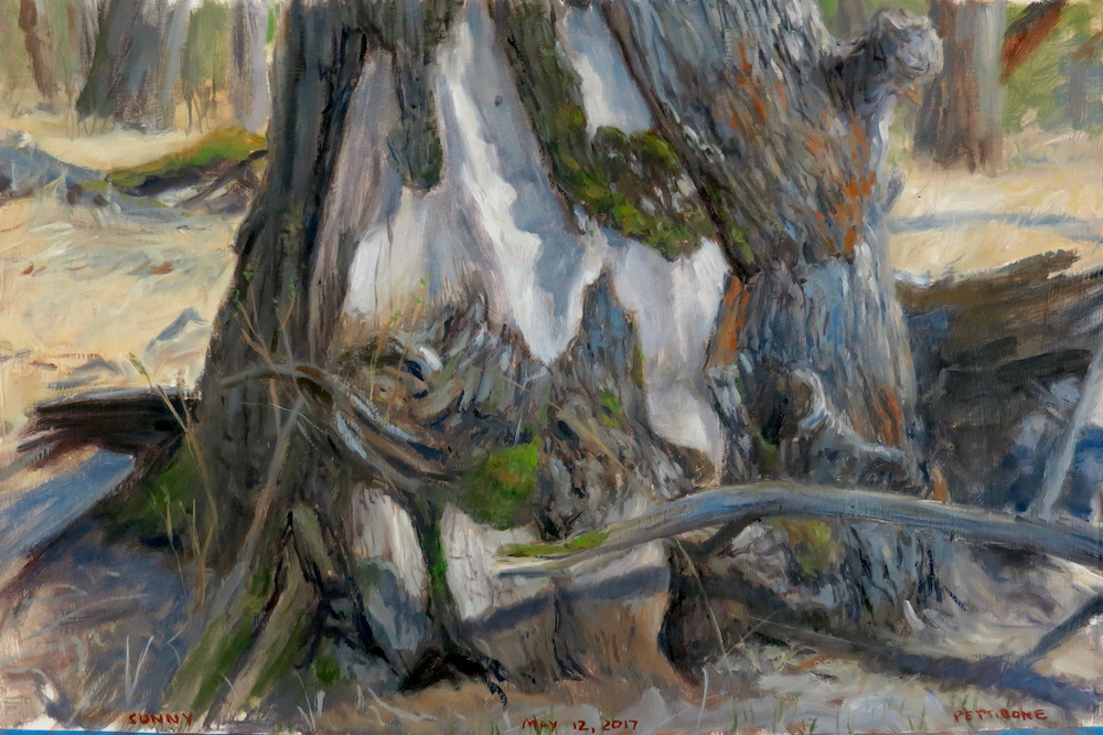 Does the Sublime Know Change? Updating Landscape for the Anthropocene