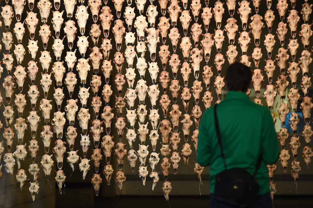 “Seen Anything Good?” The Burden of Biennial Excess