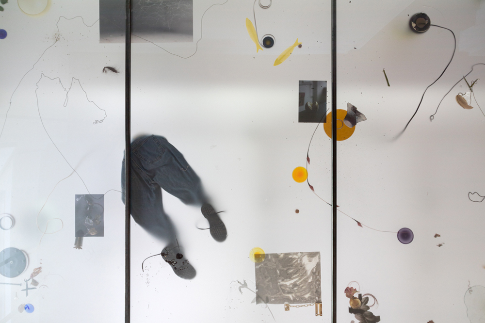 An Open Door, By the Lake: Nadia Belerique Advances Her Symbolism