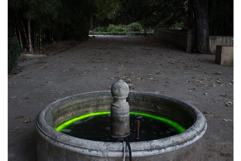 Courting Exhaustion: Manifesta&rsquo;s Dog Days