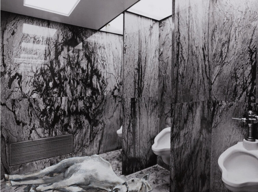 Shannon Bool Traces the Women of Algiers