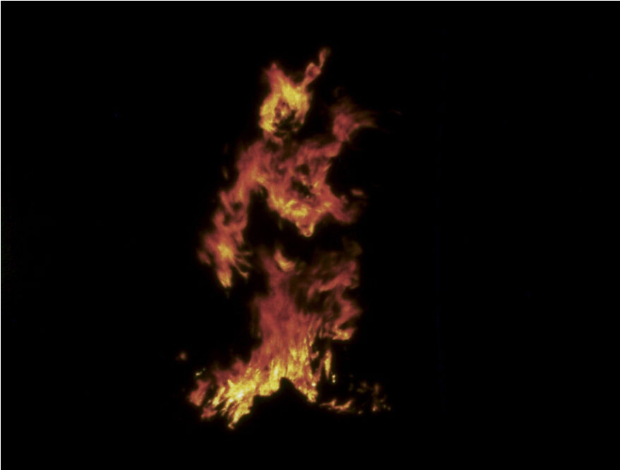 Ana Mendieta’s Death is Not a Metaphor