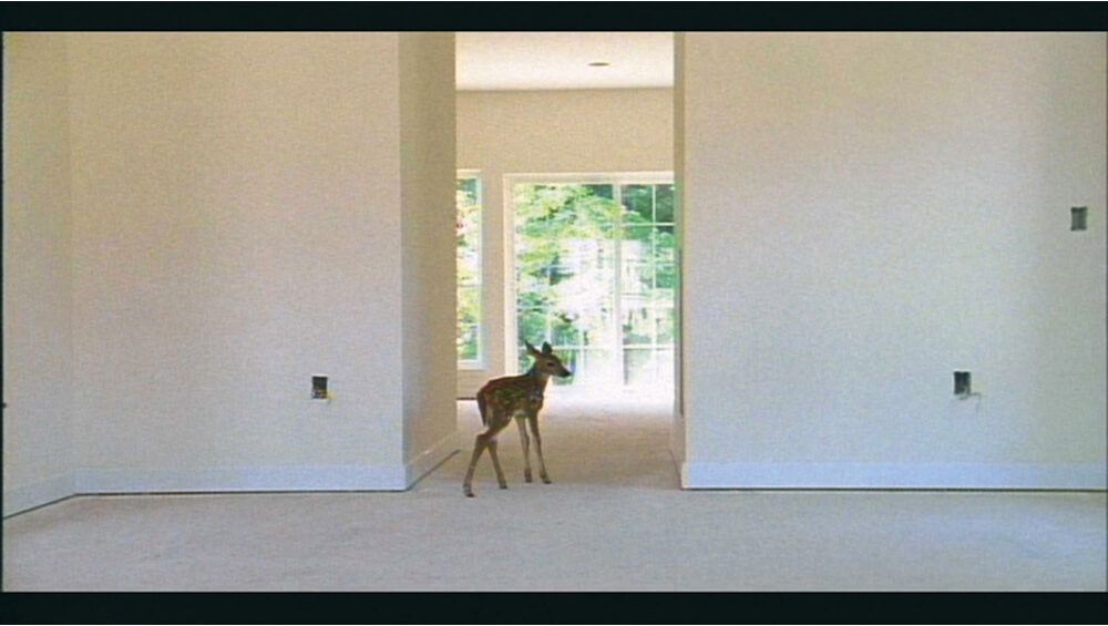 Sanded Edges: Pierre Huyghe Turns Polite at the Serpentine