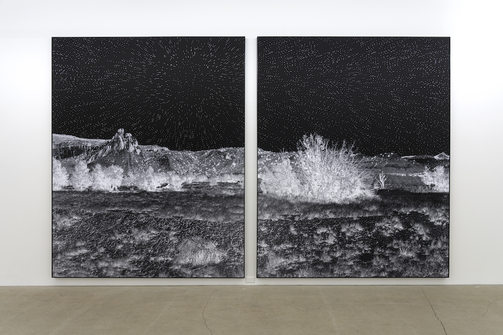 Looking Out from Looking In: Genevi&egrave;ve Cadieux Shifts From the Polemic to the Poetic