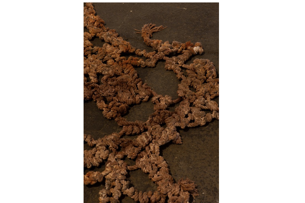 Between the Gallery and the Street: An Interview with Vanessa Thill