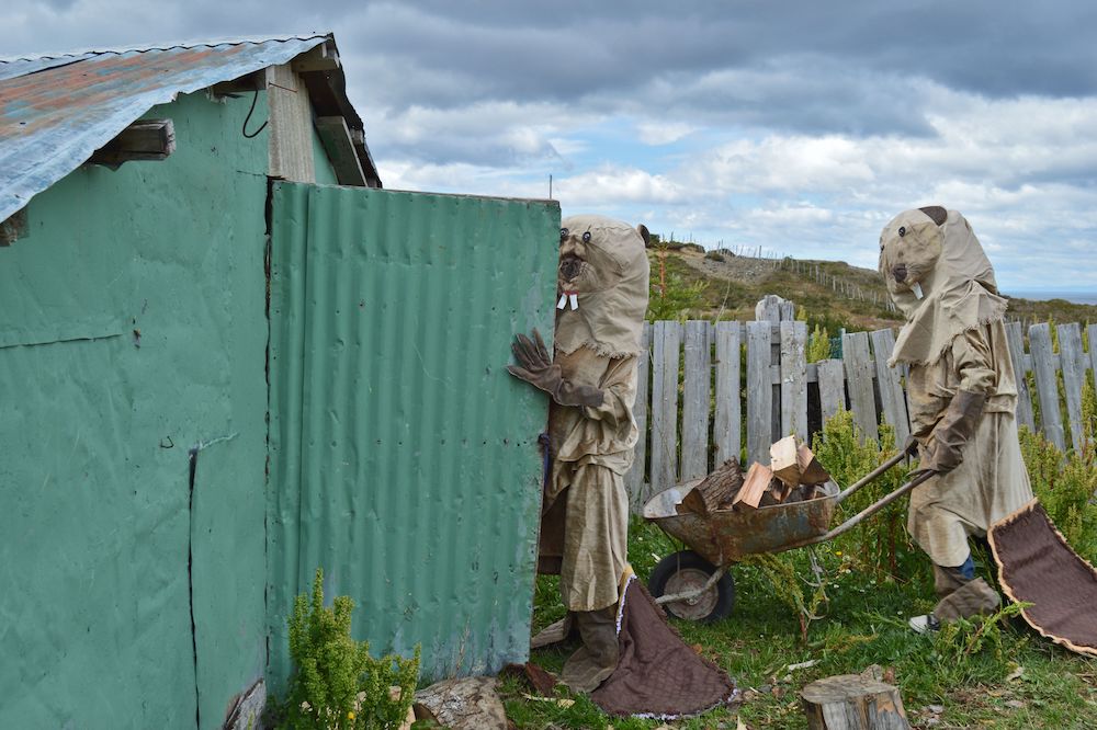 “A Planetary Expenditure”: Ensayos on Learning Across a Distance