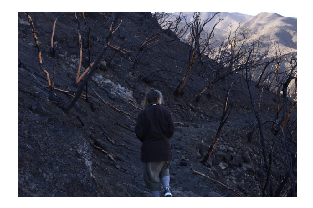 Anna Mayer Reconstitutes Loss in Houston