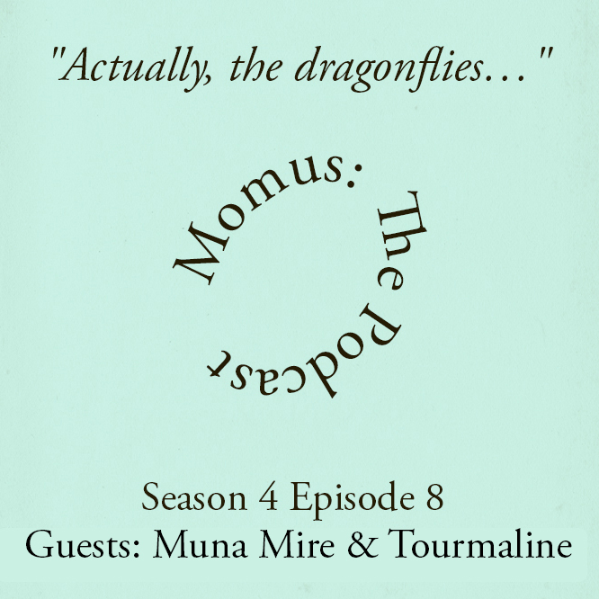 "Actually, the dragonflies ..."