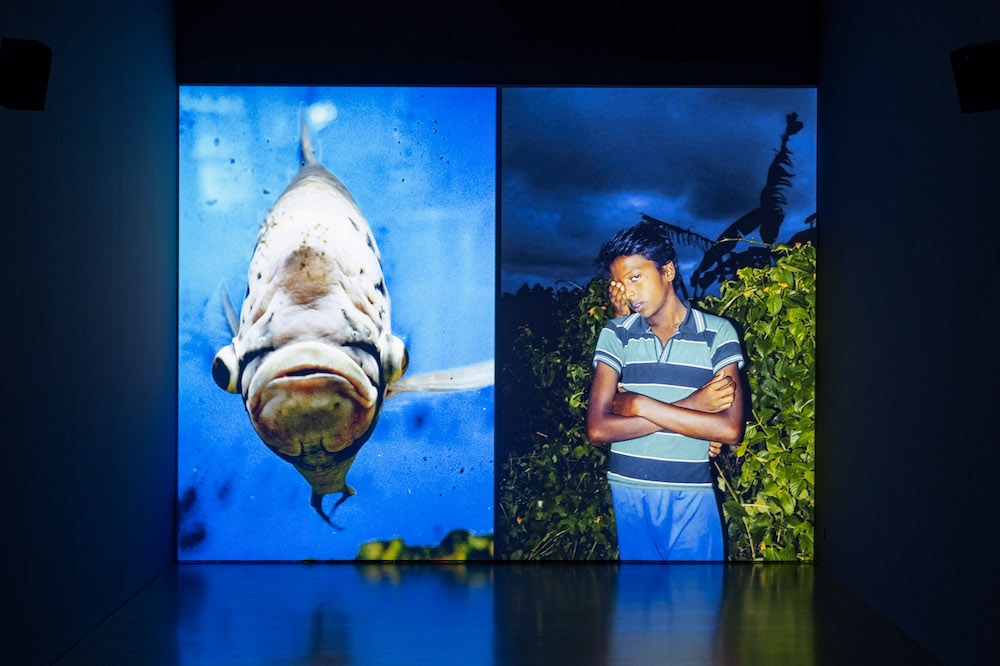 The Bodies That Scramble India’s “Constitutions”