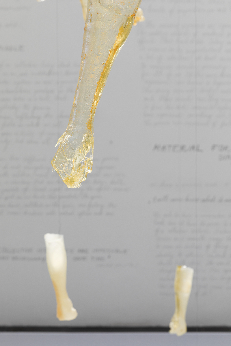 06-Sugar-installation-foto-Lubos-Kotlar