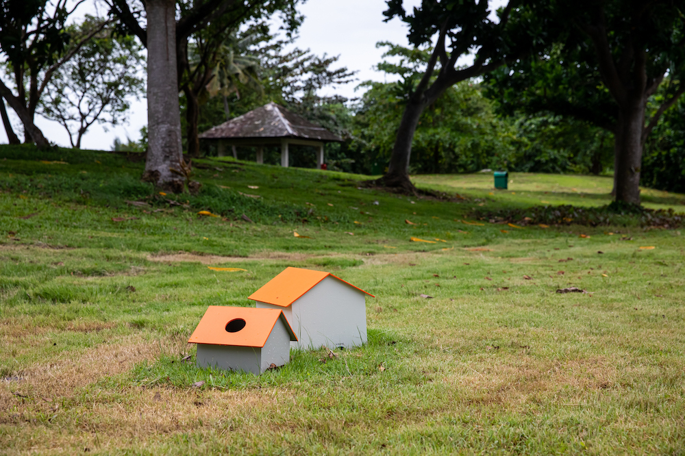 Never Risky: Seeking New Life at the Singapore Biennale