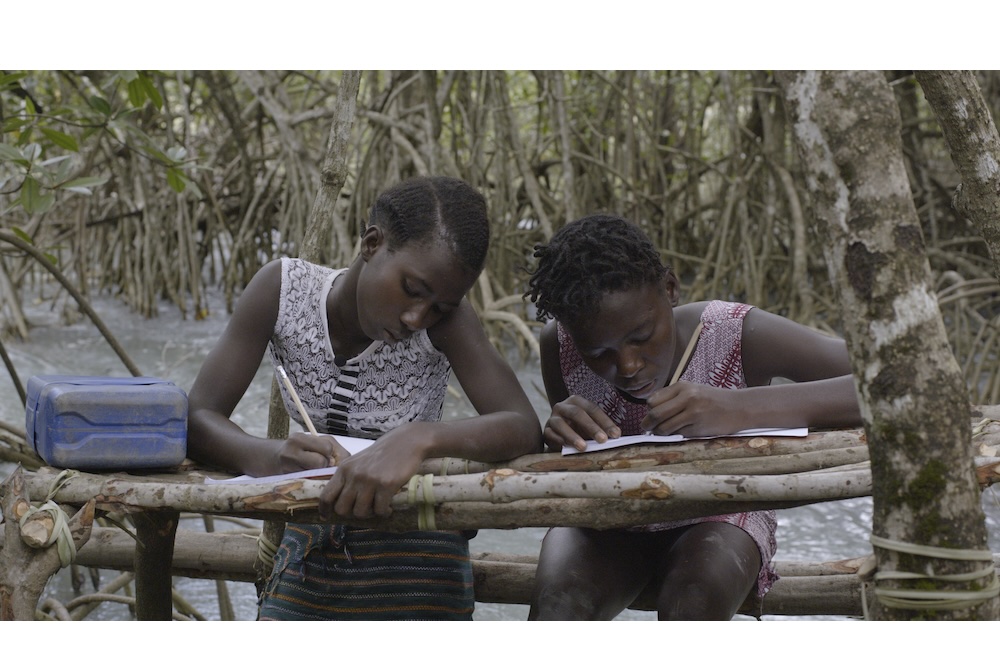 Forms of Echo: S&oacute;nia Vaz Borges & Filipa C&eacute;sar Draw from a Sense-Memory Educational Legacy