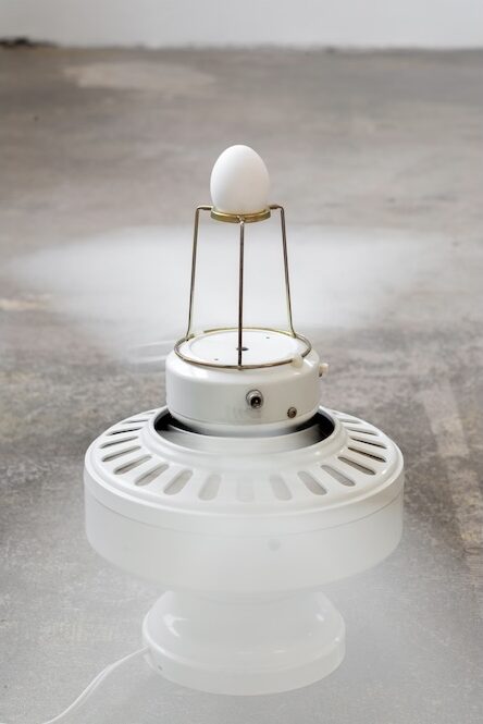 The Breathing Field of Marlon Kroll