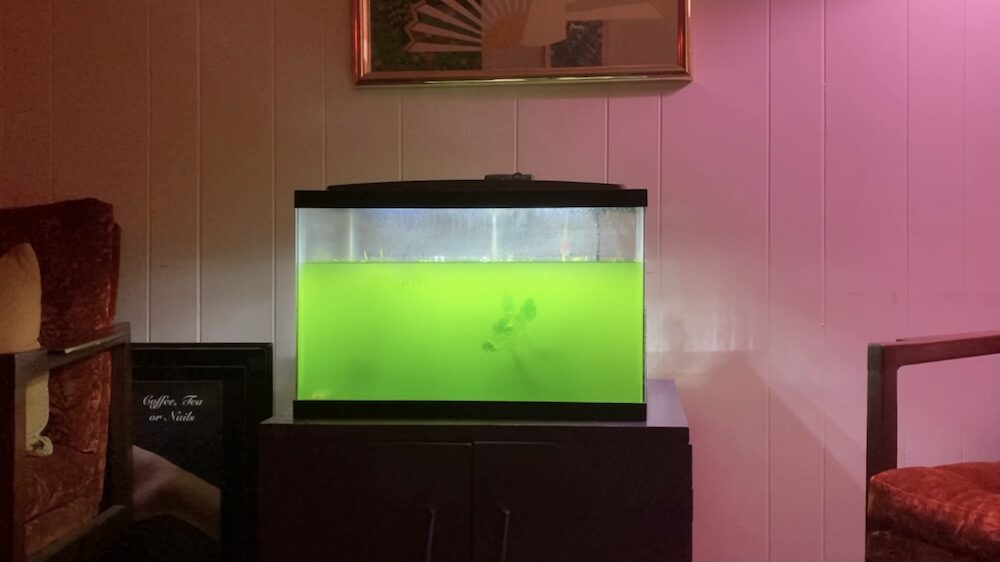 &ldquo;I Always Wanted to Participate&rdquo;: In Conversation with Vijay Masharani