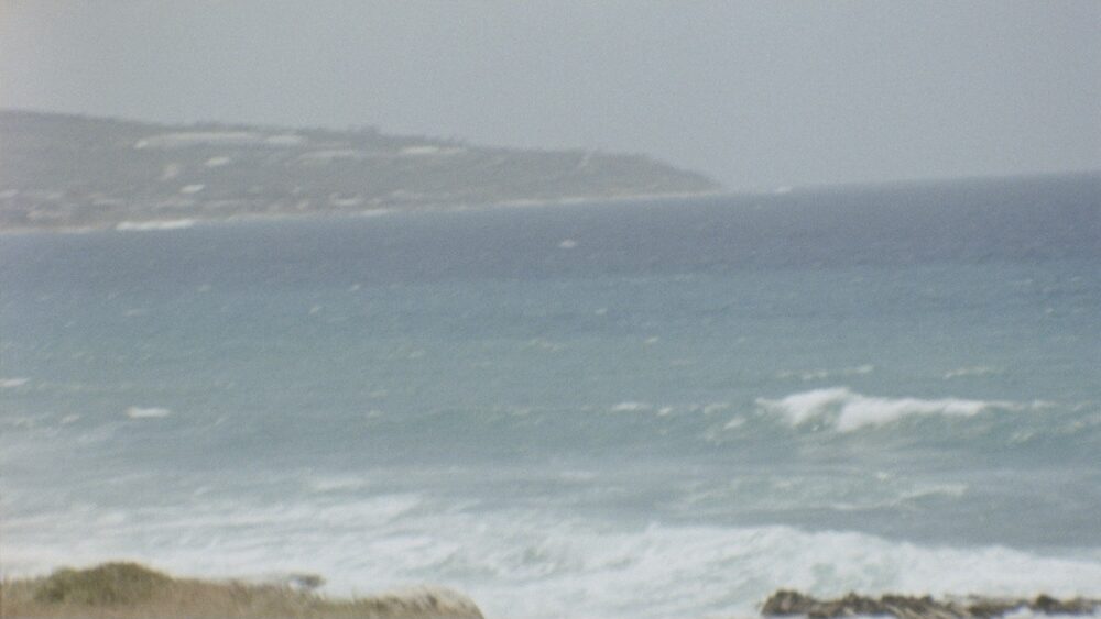 Programming the Diaspora: On How the Moving Image Shapes the Present