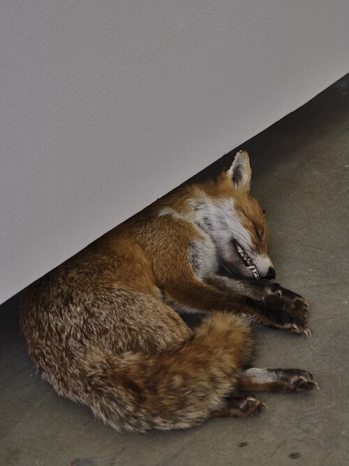 cover-AA-e1776203876924