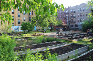 Brooklyn 2