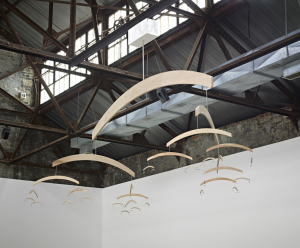 Andison_2012 solving man rays obstruction sm