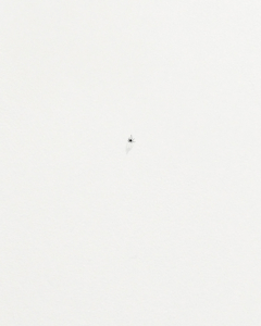 spider LR