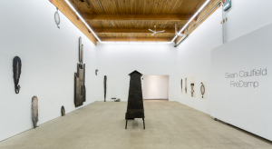 Sean Caulfield - Firedamp