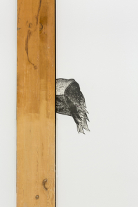 Sean Caulfield - Firedamp