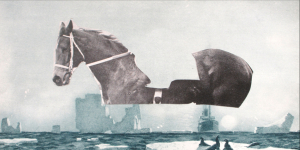 13. Untitled (arctic horse)