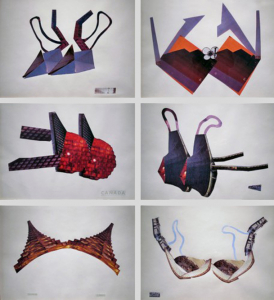 Andrew-Harwood-Expo-Bras2