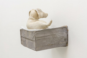 pearl_pet_1-br