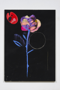 ng_stp_rose_2016