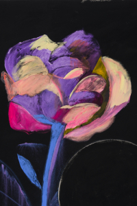 ng_stp_rose_detail2_2016