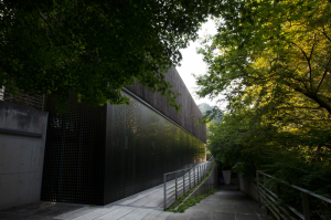 2016_09_01_biennale_66691_re