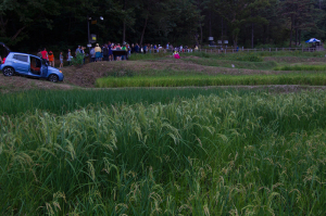 2016_09_03_biennale_69928_re