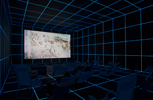 steyerl