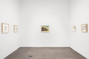 momus-installation-11