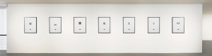 M-Bloom_Installation view_12