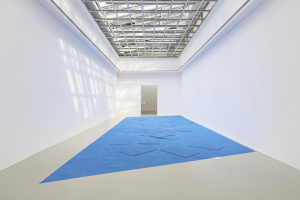 Schirin_Kretschmann_Physical_2017